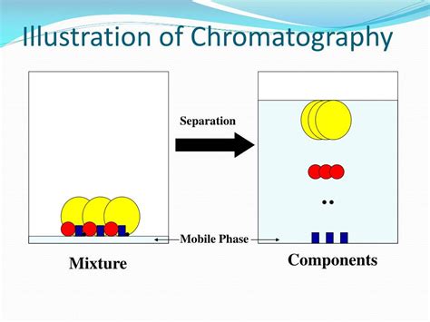 What Are The Factors Which Affect The Separation Of Components In Chromatography