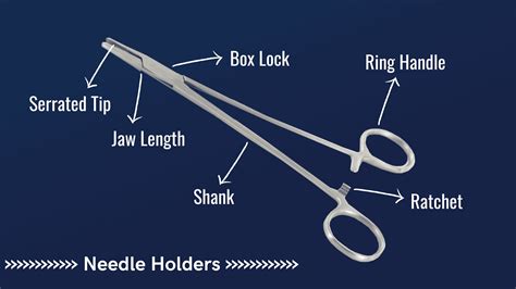 What Are The Five Basic Components Of A Needle Holder