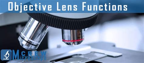 What Are The Function Of An Objectives Microscope