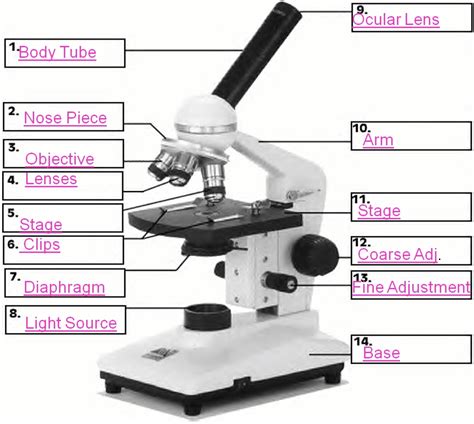 what are the functions of body tube in microscope