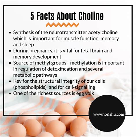 what are the health benefits of choline