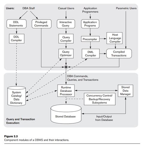 what are the key elements of the database environment