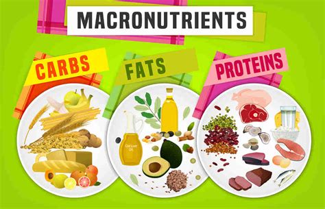 what are the macronutrients in food