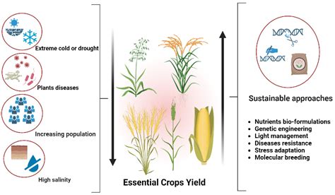 What Are The Methods Of Improving Crop Yield