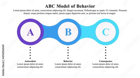 What Are The Models Of Human Behavior