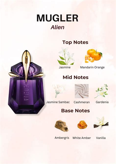 what are the notes in alien perfume
