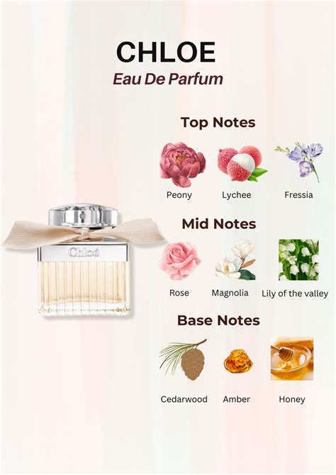 what are the notes in chloe perfume