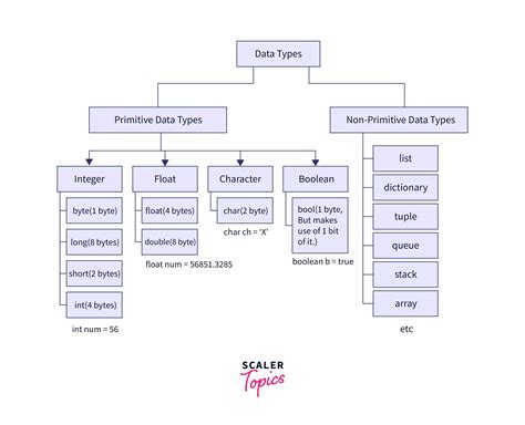 what are the operations performed on primitive data structure and non primitive data structure