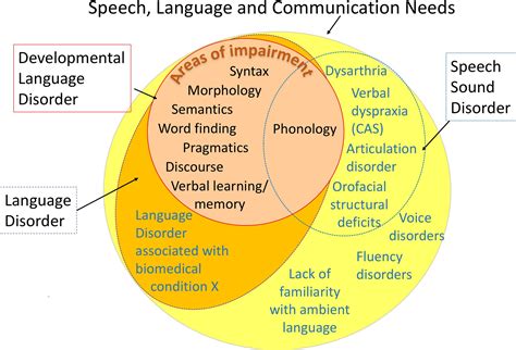what are the problems associated with language development