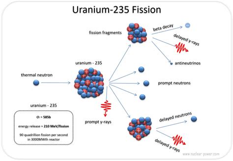 what are the products of uranium 235 fission