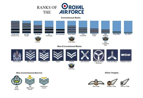 what are the ranks in the raf