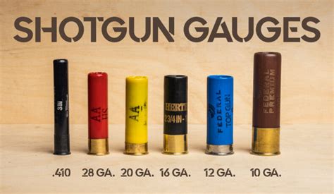 what are the shotgun gauges