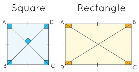 What Are The Similarities And Differences Of A Square And A Rectangle