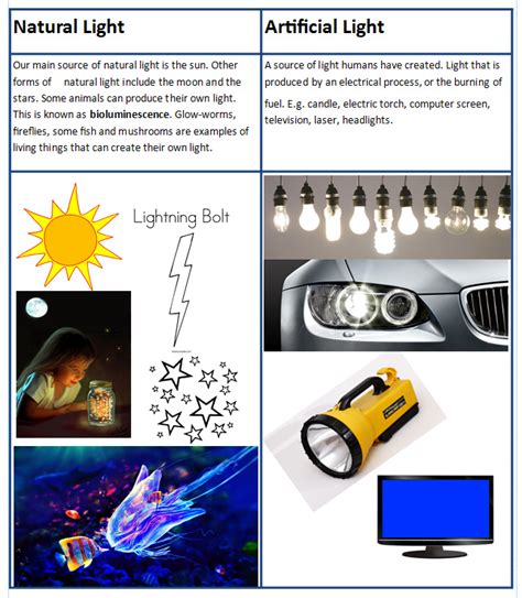 What Are The Some Examples Of Artificial Light Sources