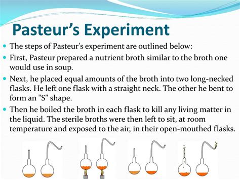 what are the steps of pasteur's experiment from first to last