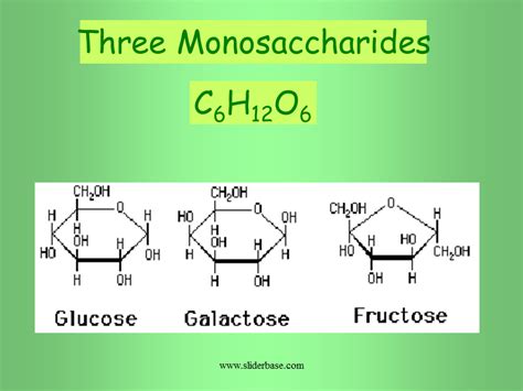 What Are The Three Examples Of Monosaccharides