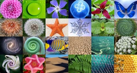 what are the two types of patterns in nature