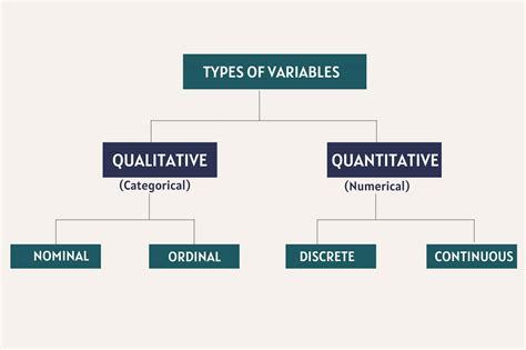 what are the types of variables in quantitative data