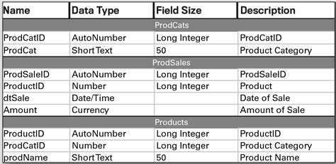 what are the various data types used in ms access explain with example