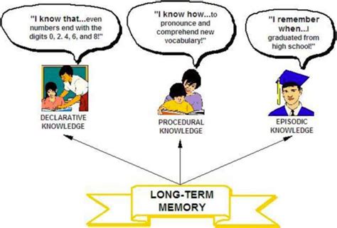 what are three examples of information processing problems