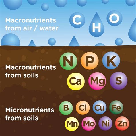 what are three primary macronutrients soil