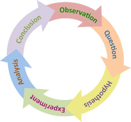 what are two examples of basic science in psychology