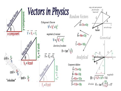what are vectors in physics examples