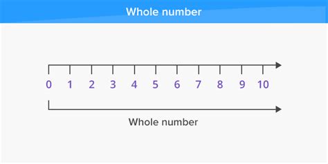 what are whole numbers in math examples