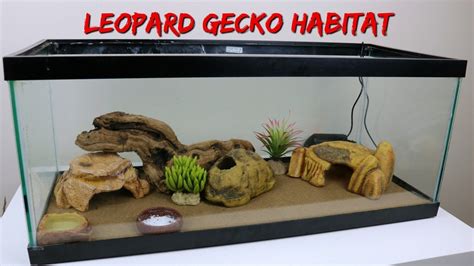 What Bedding Do Leopard Geckos Need
