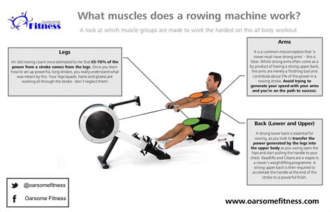 what body parts does rowing machine target
