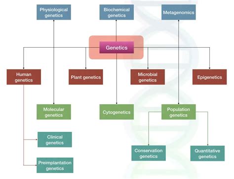 what branch of biology is the study of inheritance