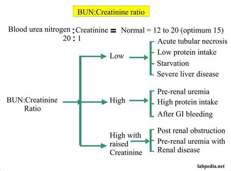 what bun/creatinine ratio indicates kidney failure