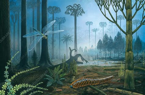 what came before the carboniferous period