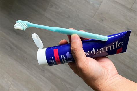 What Can I Use Instead Of Dog Toothpaste