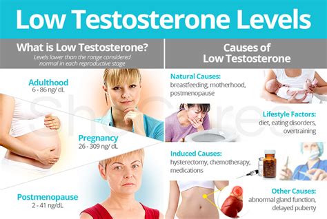 What Can Low Testosterone Levels Cause
