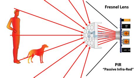 what can trigger a pir sensor