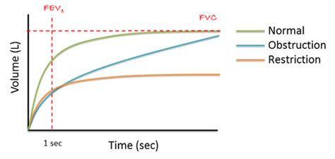 What Can You Determine From The Following Spirometry Flow-Volume Loop Quizlet