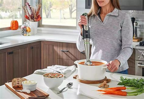 What Can You Use In Place Of Immersion Blender