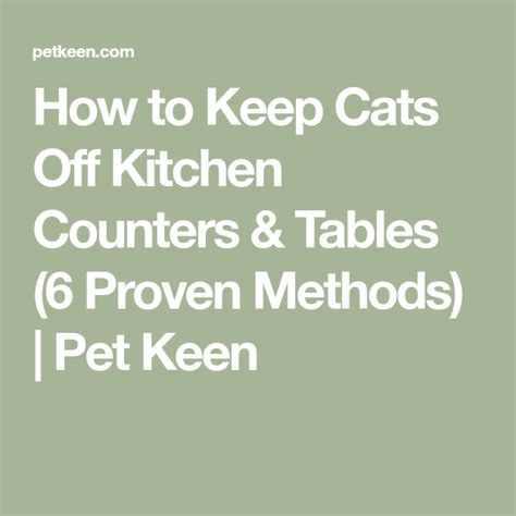 What Can You Use To Keep Cats Off Counters And Tables