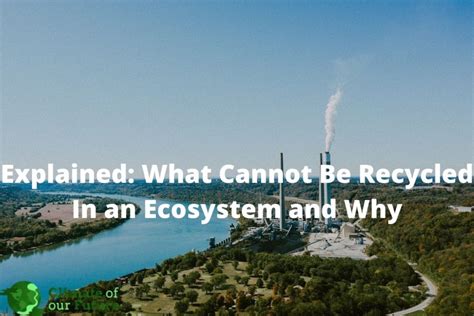 What Cannot Be Recycled In An Ecosystem