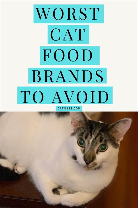 what cat food brands to avoid