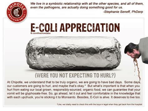 What Caused E Coli At Chipotle