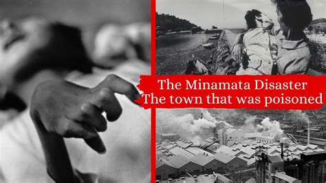 what caused the minamata disaster