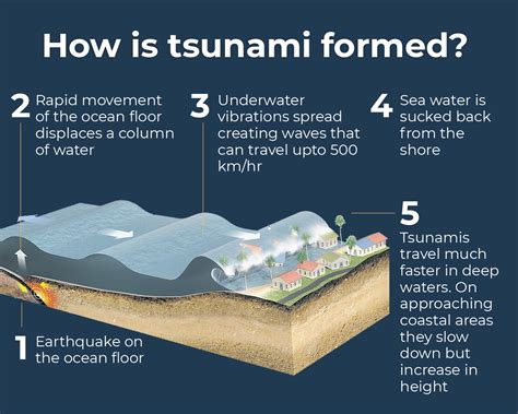 what caused the tsunami