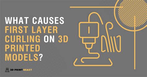 What Causes 3D Prints To Curl