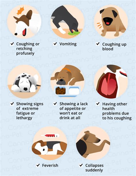 what causes a dog to cough