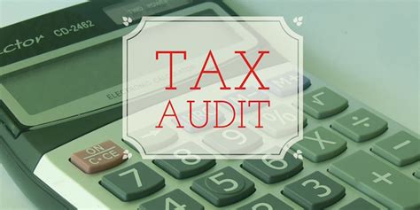 what causes a tax return audit