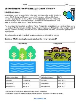 what causes algae in ponds