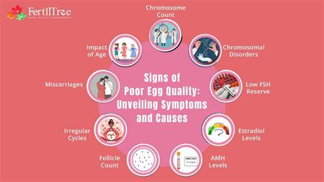What Causes Bad Egg Quality Fertility
