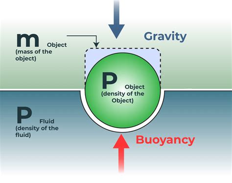 What Causes Buoyant Force